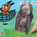 11/17の足立区生物園のイベント